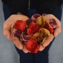 Pom Pom< Mini pom grape