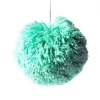 Pom Pom< Pom-pom mint